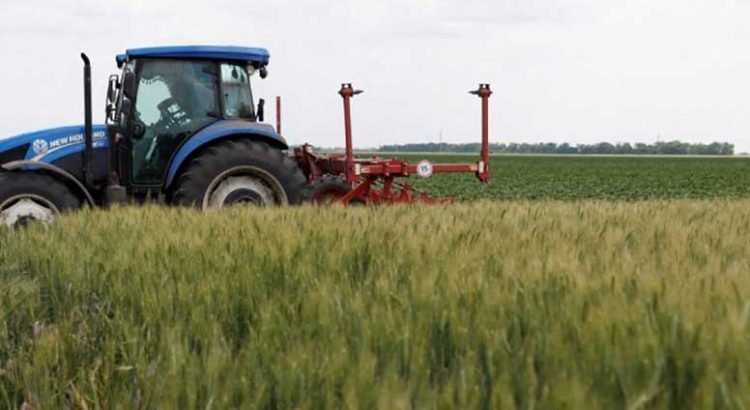 Inician Rusia y Ucrania discusiones sobre exportación de cereales