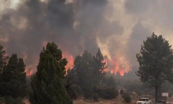 Patrulla Fronteriza de Arizona rescata a migrantes de incendio forestal y montañas peligrosas