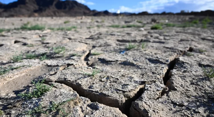 Sequía extrema golpea a Arizona