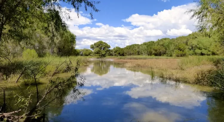 Fallo judicial cuantifica derechos de agua en área de conservación del Río San Pedro Fallo judicial cuantifica derechos de agua en área de conservación del Río San Pedro