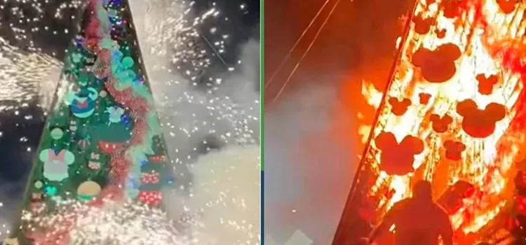 Literal, acudieron al encendido del árbol navideño