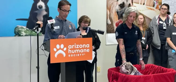 Nuevo proyecto de ley en Arizona para combatir la crueldad animal