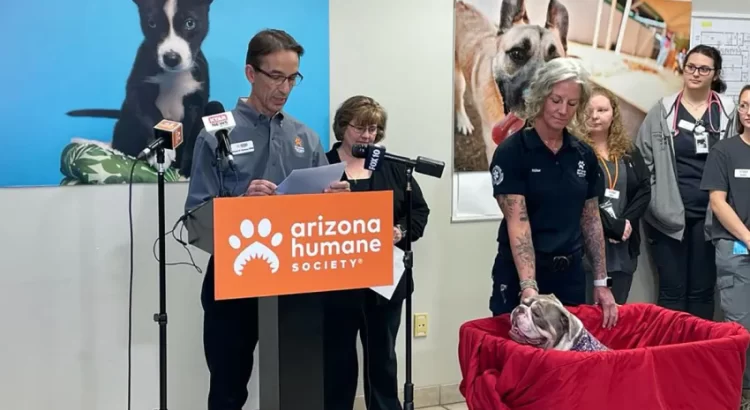 Nuevo proyecto de ley en Arizona para combatir la crueldad animal