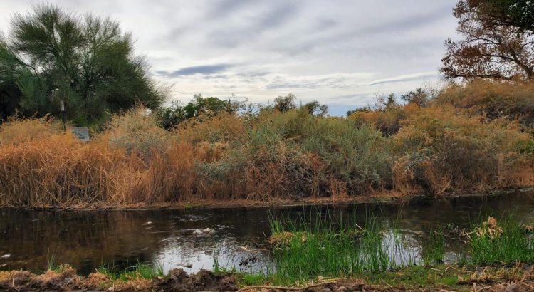 Claves para conservar agua y mitigar cambio climático