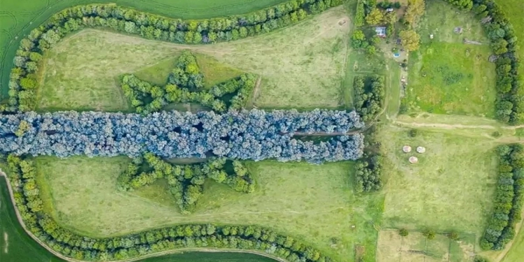 Construyó un bosque con forma de guitarra en memoria de su esposa