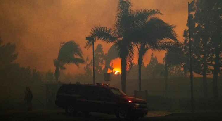 Ascienden a cinco los muertos por los incendios en Los Ángeles