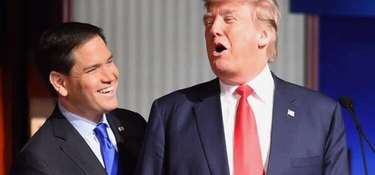 Trump manda a Waltz a la ONU y anuncia a Rubio como asesor de seguridad nacional