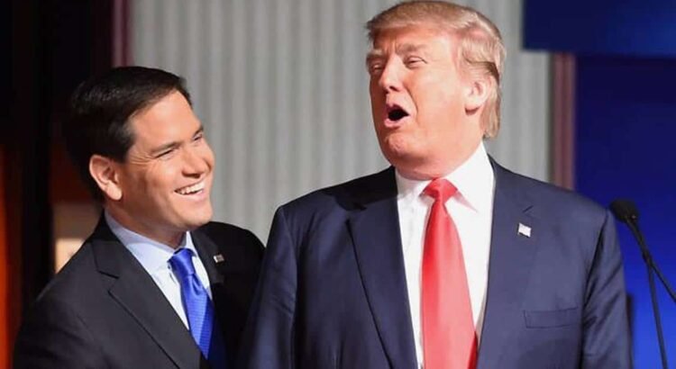Trump manda a Waltz a la ONU y anuncia a Rubio como asesor de seguridad nacional