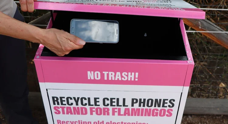 El reciclaje de teléfonos del Zoológico Reid Park ayuda a la conservación de los flamencos