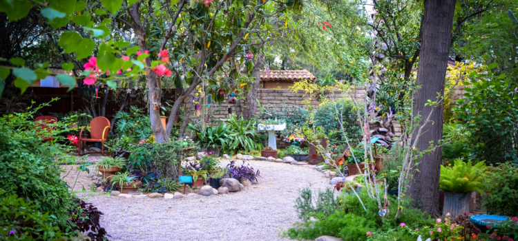 Aeropuerto Internacional de Tucson se asocia con el Jardín Botánico para la exposición de su 50 aniversario.