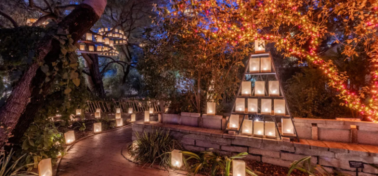 Festival anual del Jardín Botánico de Tucson