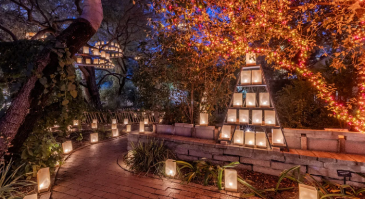 Festival anual del Jardín Botánico de Tucson